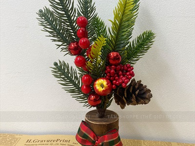 Chậu thông mini để bàn cành đỏ mọng cao 28cm đế gỗ [Nhiều kiểu] CHAUCAYGIA-19